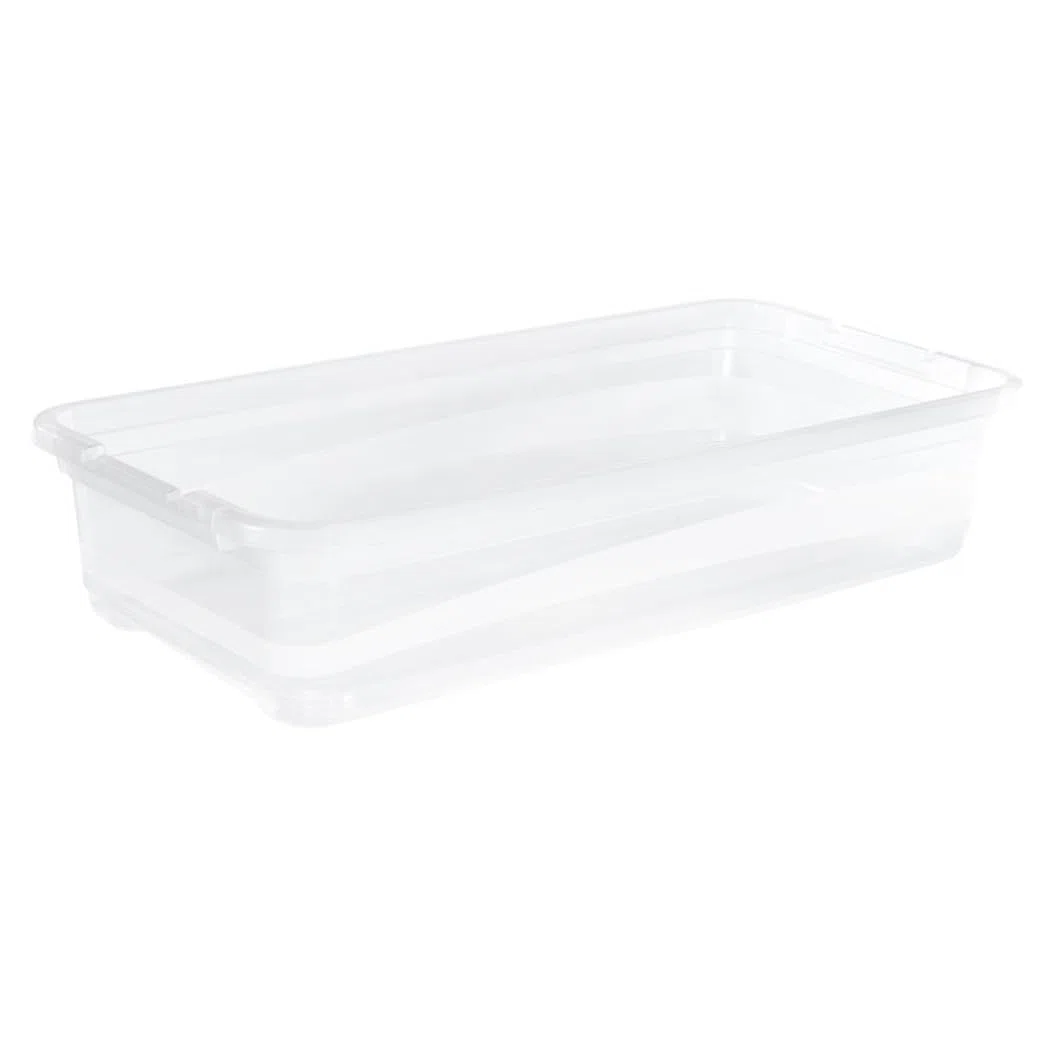 keeeper Contenitore con Coperchio, PP, 79.5 x 39.5 x 17 cm, Capacità: 33 L, Cornelia, Trasparente