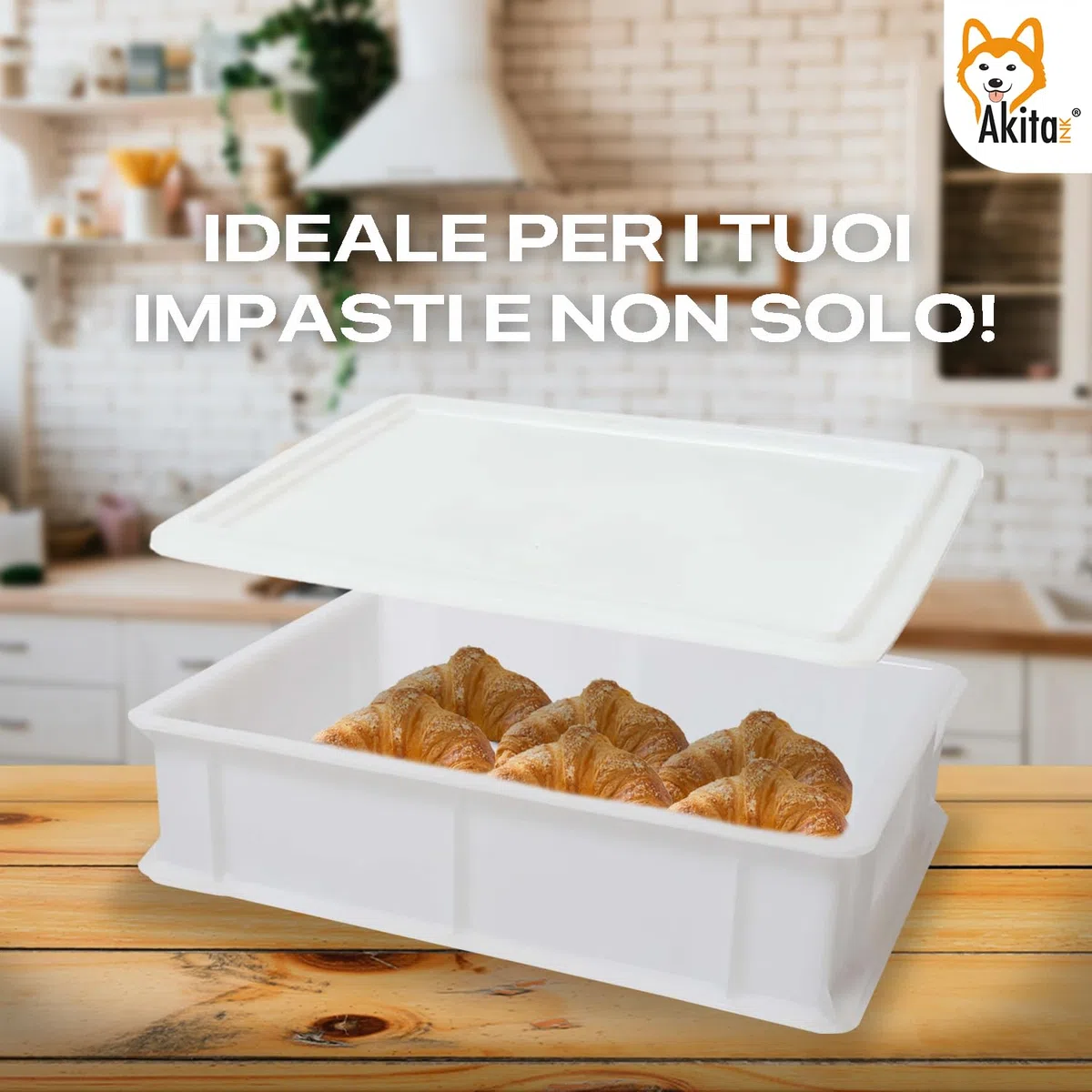 Akitaink Cassetta per Lievitazione Pizza e Pane | Contenitore per Impasto con Coperchio, Plastica Lavabile in Lavastoviglie, 30x40x10 cm (2 PORTAIMPASTO CON COPERCHIO)