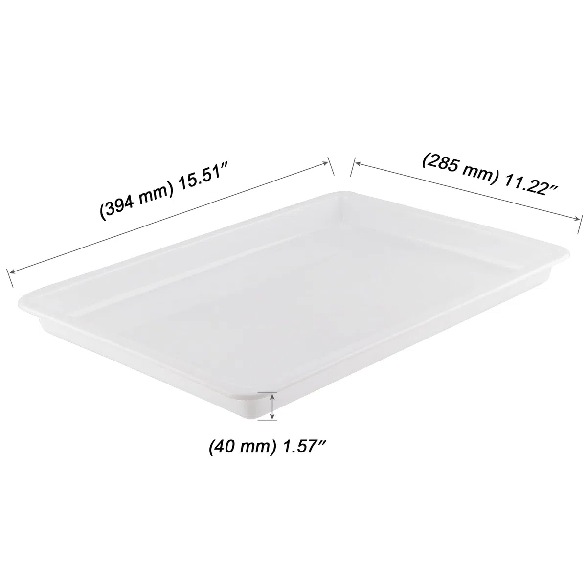 MOUYAT 10 vassoi grandi in plastica per attività artistiche, organizer per scuola, casa, progetti fai da te, pittura, perline, forniture organizzative, 39 x 29 x 4 cm