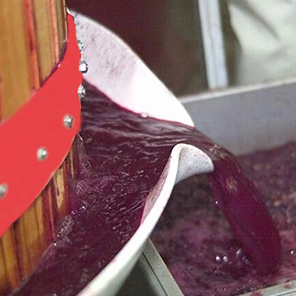 LZQ - Pressa per frutta da 6 l, spremiagrumi e pressa per frutti di bosco, mele, vino, macinino meccanico per frutta, con panno per filtrare