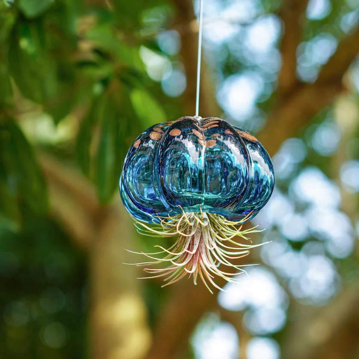 Vaso per piante aeree da appendere a forma di medusa Soffiato in vetro, dolce medusa blu, regalo per camera delle donne, giardino, decorazione per feste di nozze