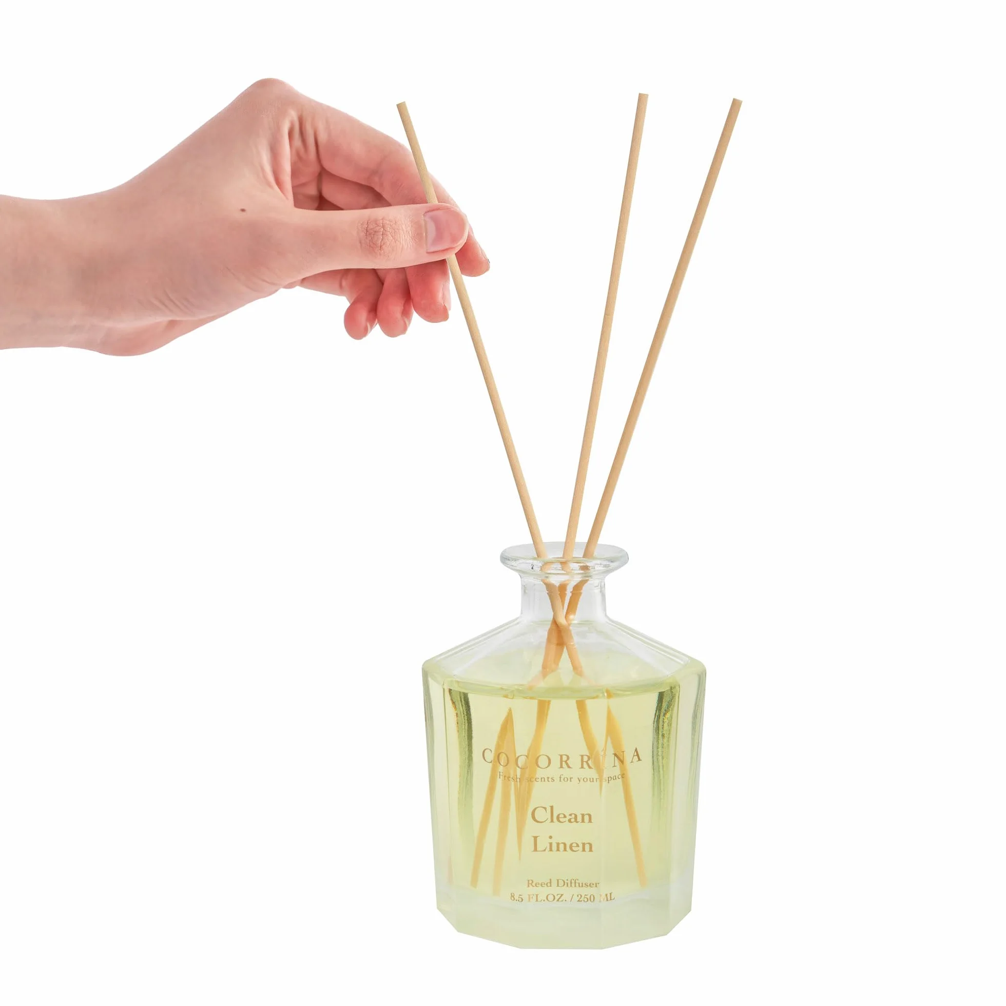 COCORRÍNA Fiore Diffusore Profumo Ambiente con 8 Bastoncini di fragranza 250ml- Clean Linen, naturale, di Lunga Durata, per la Camera da Letto, L'Ufficio, Il Bagno (Collezione Master)