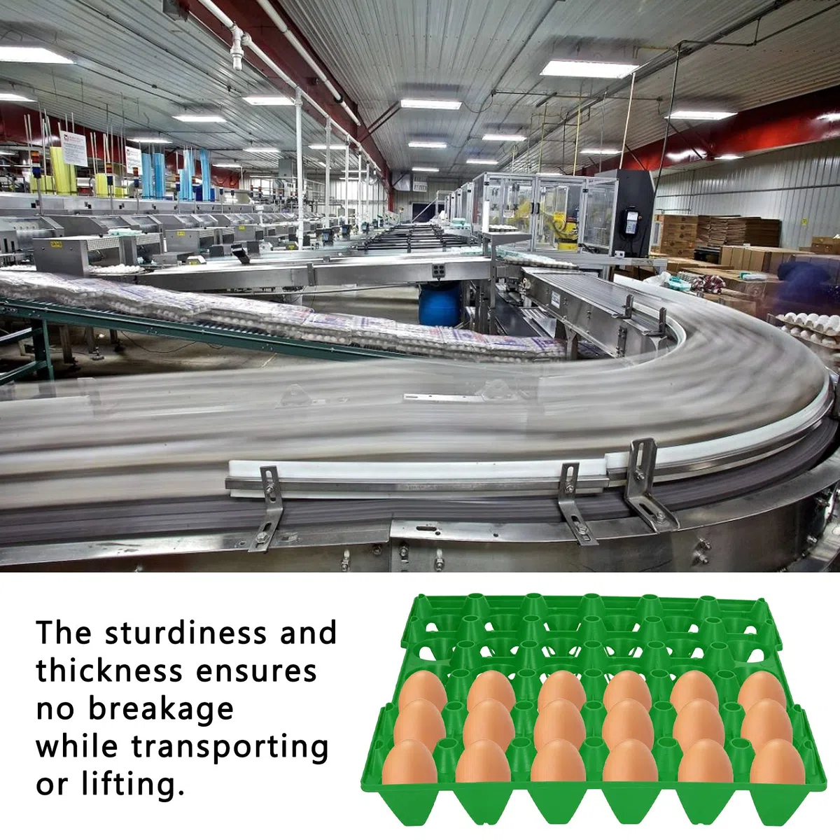 5PCS Egg Flats, Egg Packing Flats 30 Cell Egg Casse Vassoio Portaoggetti per il Trasporto di Stoccaggio Forniture Agricole Domestiche(04)