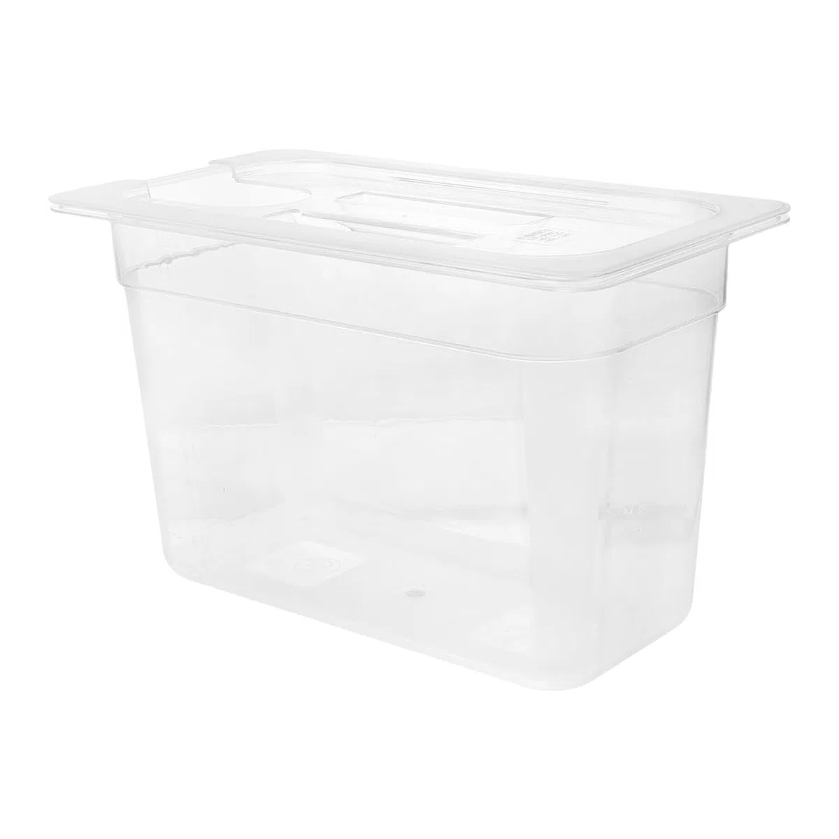Contenitore Sous Vide ad alta capacità 6L per cucine domestiche trasparenti Custodia a cottura lenta a bassa temperatura per contenitore facile Sous Vide