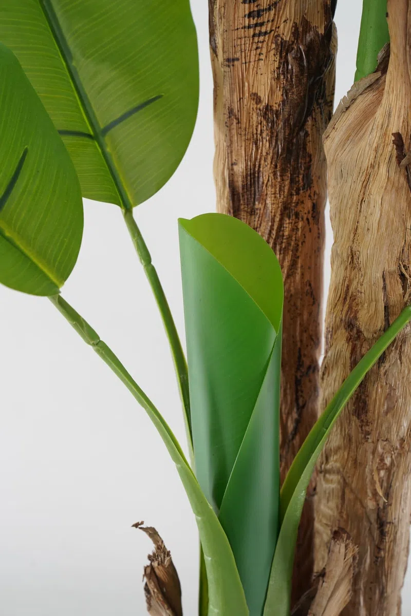 Pianta Artificiale di Banano con Corteccia Naturale, Foglie in PVC, Varie Misure, per Interni Residenziali e Commerciali (Chiquita 180 cm - 3 tronchi)