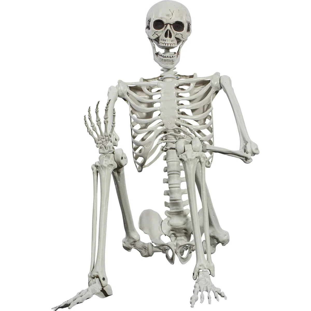 Scheletro di Halloween 165 cm realistico dimensione di vita posable scheletro umano con articolazioni mobili per Halloween decorazione casa infestata (1)