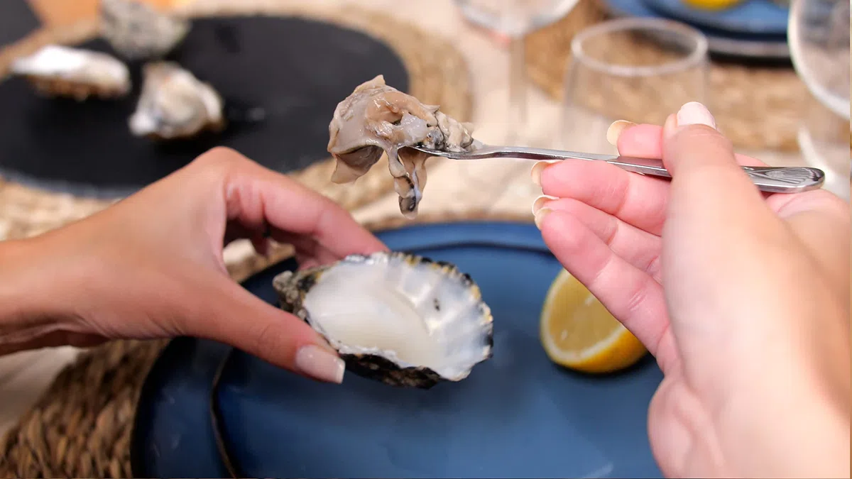 Set di 6 - Forchetta Oyster - Con Dente Sezione - Acciaio Inossidabile 18/10