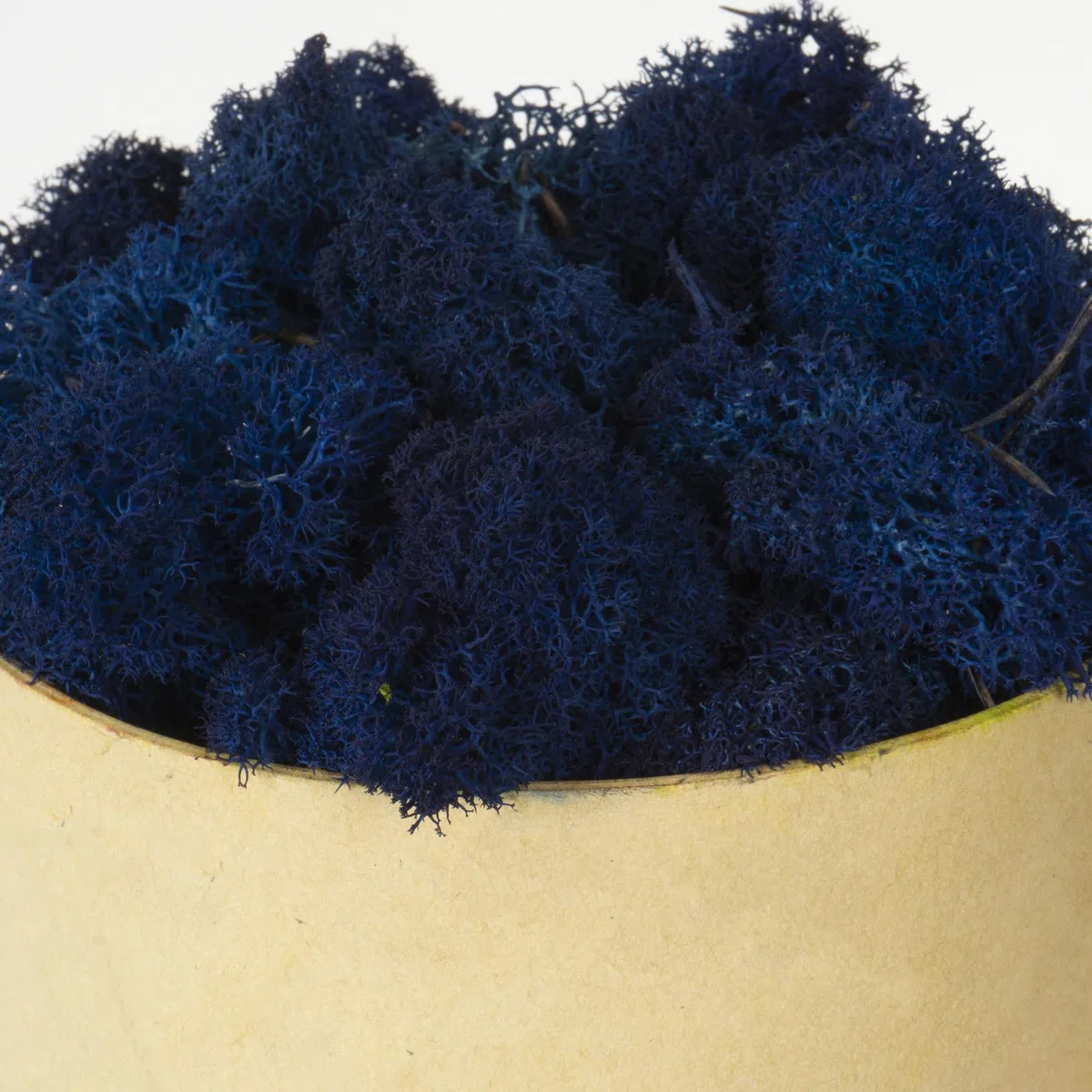 Lichene Stabilizzato Vero 100% Naturale, 500g - Muschio Scandinavo Conservato per Decorazioni - Ideale per Parete Verde, Terrario, Presepi, Modellismo e Composizioni Fai da Te (Blu Scuro, 500g)