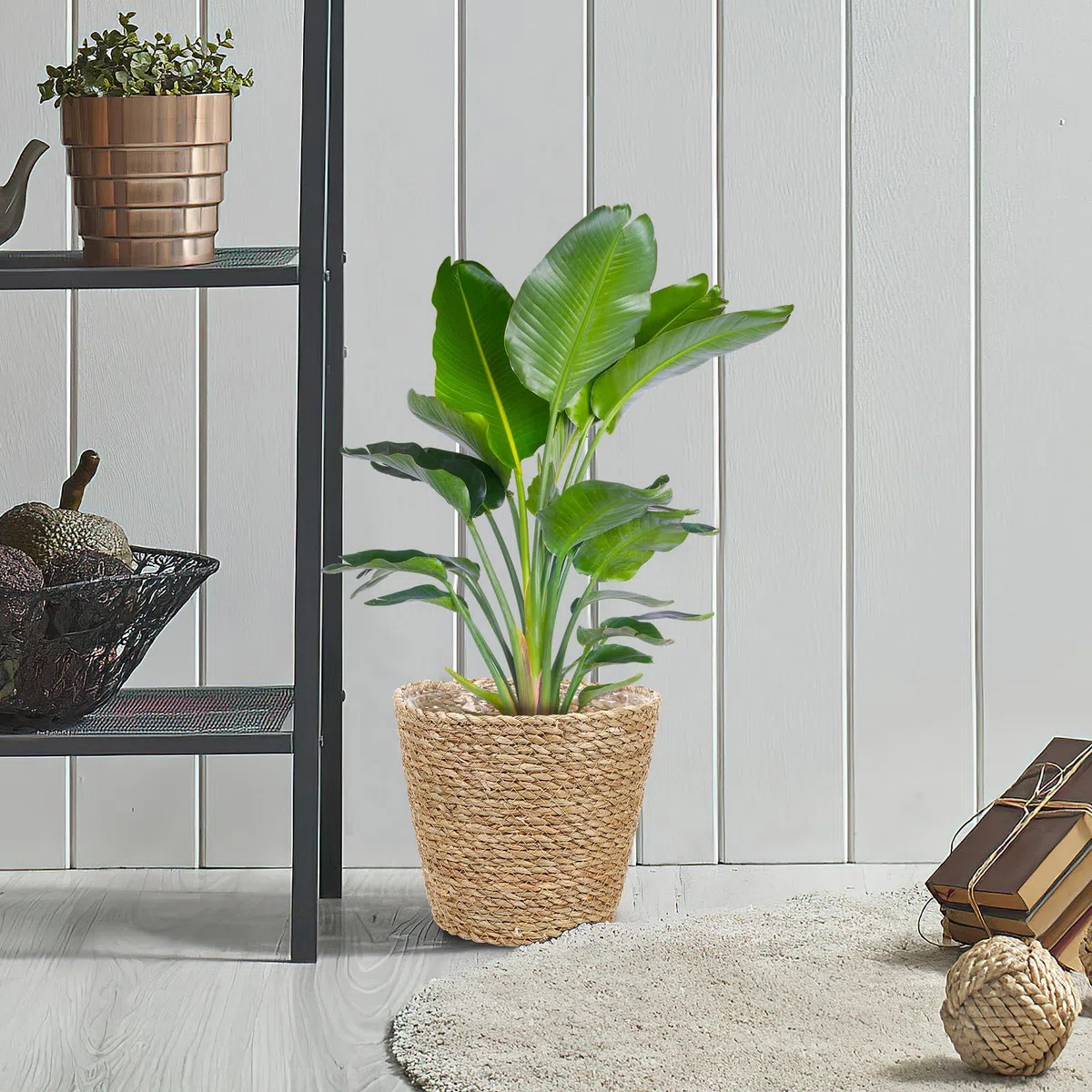 Fioriera Intrecciata in Paglia Fodera, Cesto Porta Piante da Interno, Contenitore Decorativo per Feste e Uso Quotidiano in Casa o Ufficio, Leggero e Pratico