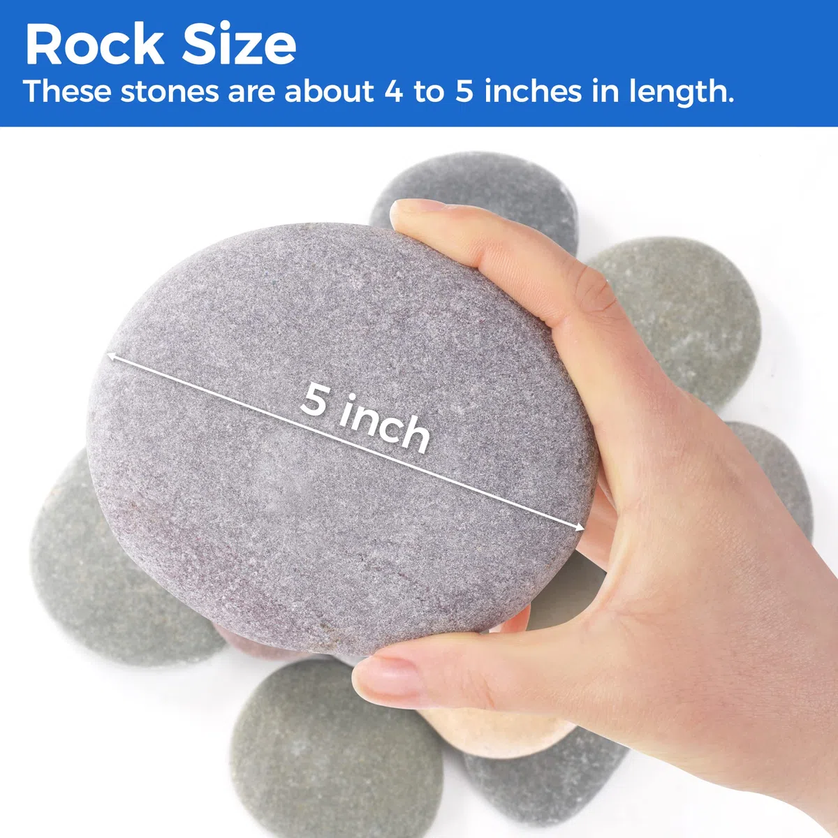 ROCART 12 rocce piatte extra large da 10-13 cm per dipingere, rocce lisce di fiume Forniture per dipingere per pietre della gentilezza, arti e mestieri, decorazioni