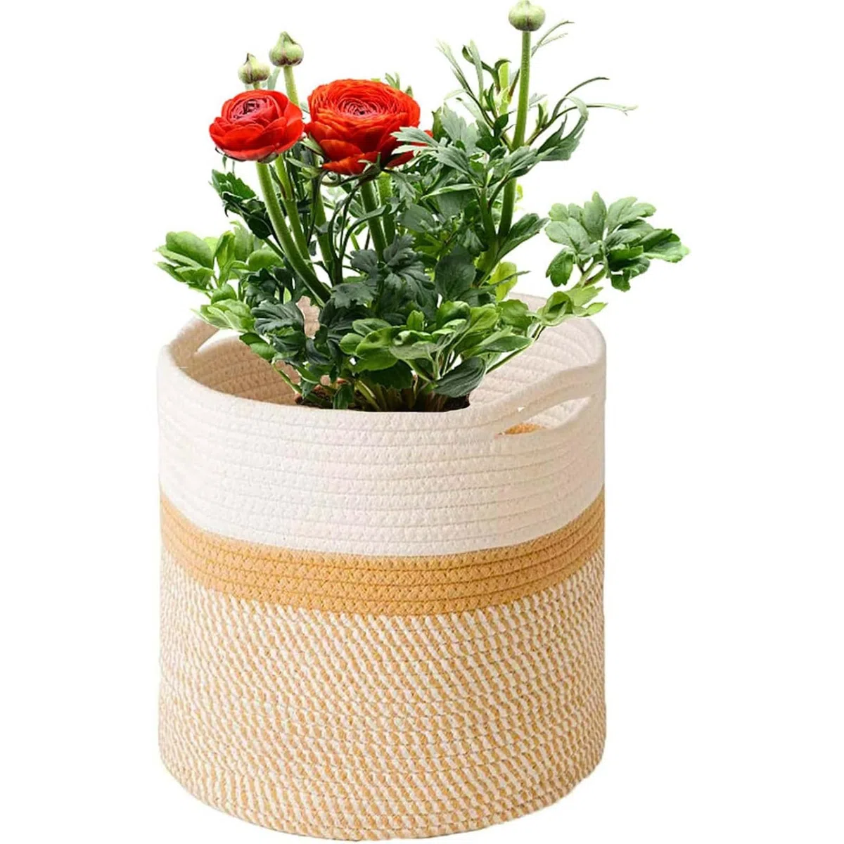 Grande cesto per piante intrecciato, diametro 25 cm, vaso per piante da camera, cesto per fiori per interni, cesto grande interno boho, vaso per piante lavorato a maglia con manici