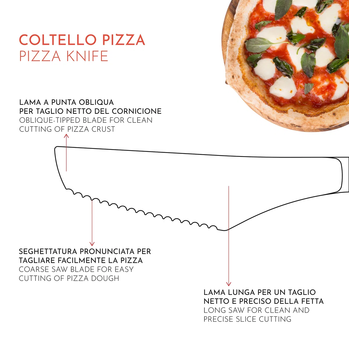 PINTINOX Prima Collection Coltelli Pizza Set 12 pz Acciaio Inox Manico Nero