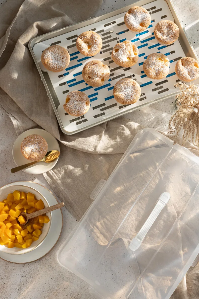 BranQ Home essential Contenitore rettangolare per torta con 2 inserti refrigeranti in plastica (PP) con copertura alta, pratica maniglia, senza BPA, trasparente/crema