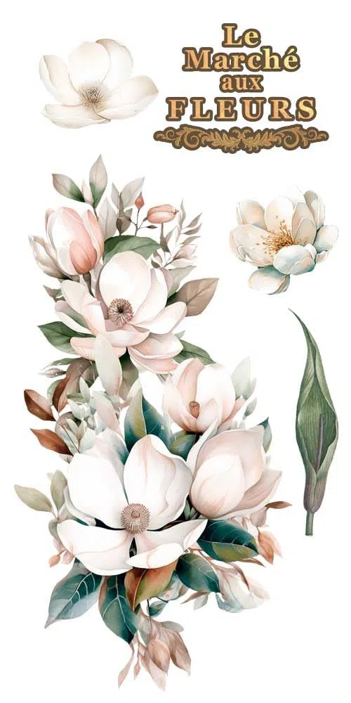 Papers For You - Trasferimenti decorativi per artigianato e mobili/adesivi di trasferimento decorativo/15 x 30 cm 6"x 12" 4 fogli (Magnolie)
