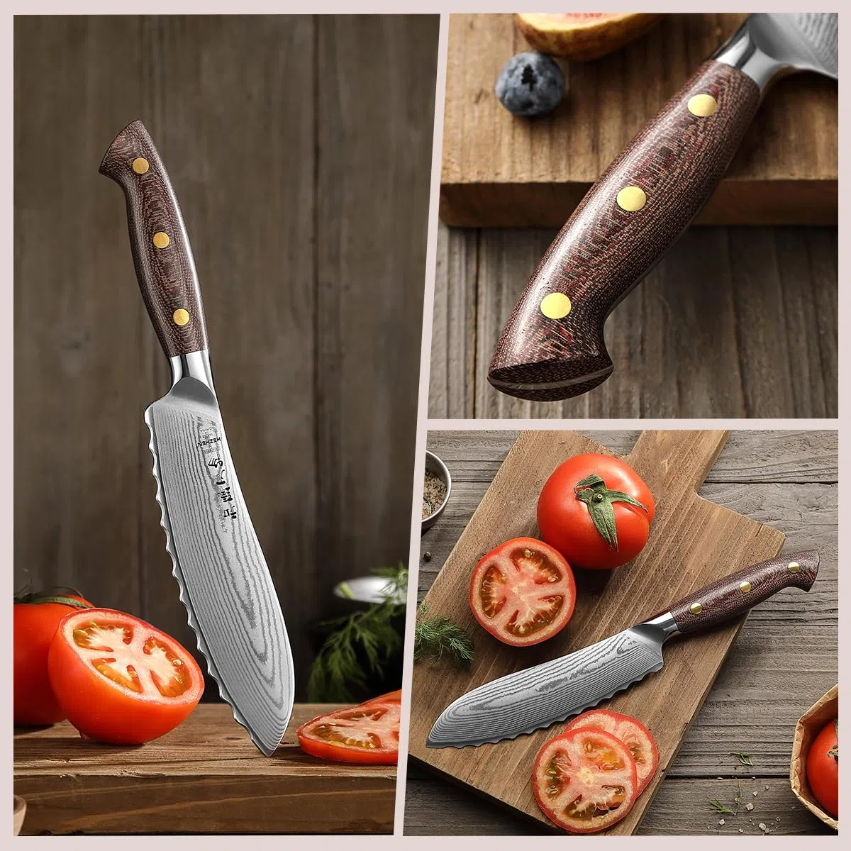 HEZHEN Damasco Coltelli da Pomodoro, 67 Strati di Acciaio Damasco Coltelli ad Alto Tenore di Carbonio, Lama Seghetta Coltelli per Frutta e Verdura, Full Tang Manico in Micarta