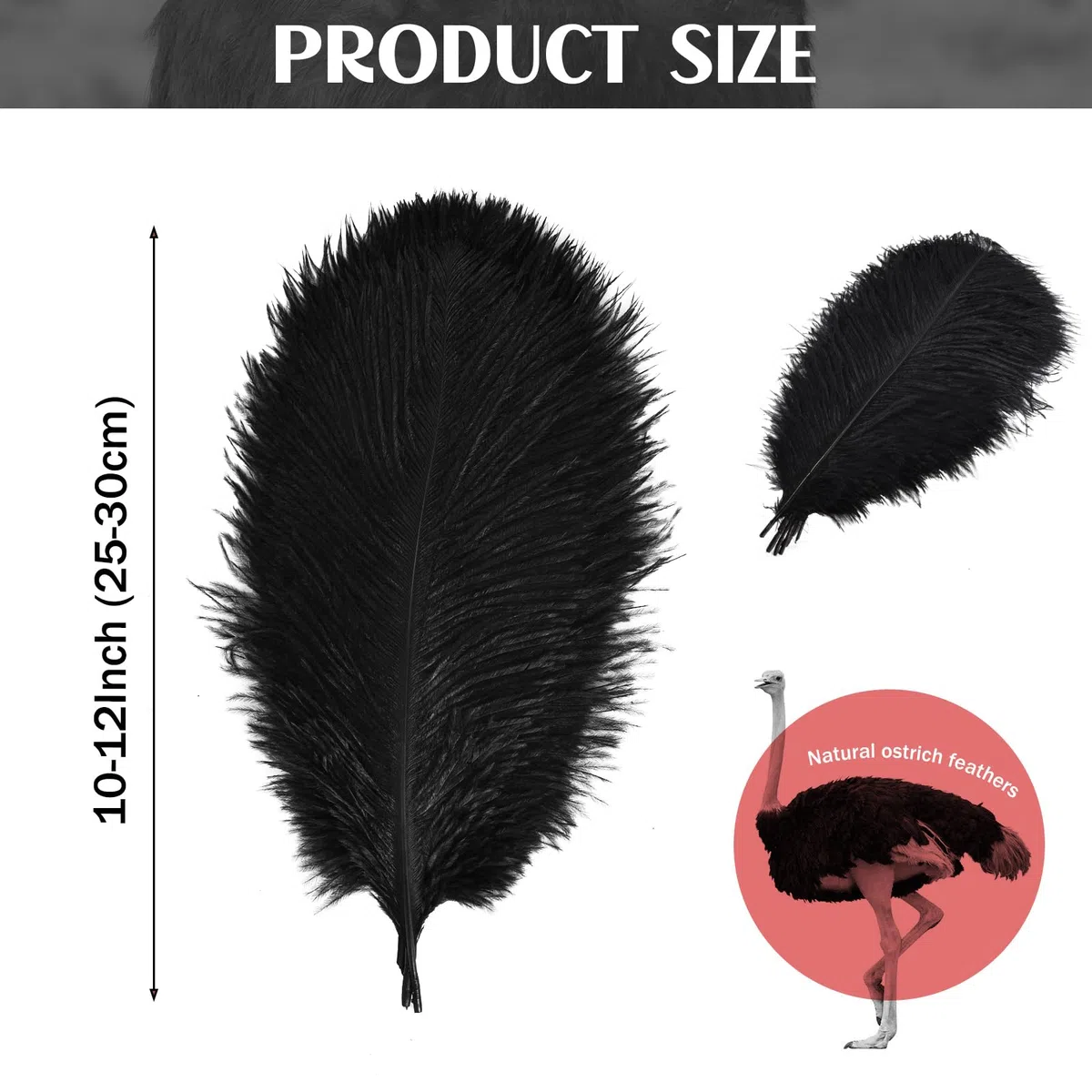 30 Pezzi Piume di Struzzo Decorative, per Abiti, la Decorazione Della Casa e Del Matrimonio, Vasi DIY, Lunghe (Nero)
