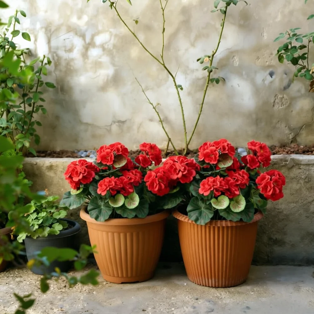 Laelfe 4 Pcs Gerani Rossi Finti da Esterno, Fiori Finti Artificiali Geranio per Esterno Balcone Patio Cimitero Sospensione di Fioriere Decorazione per Tavolo (Rosso-4 Pcs)