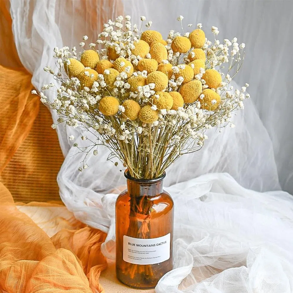 Billy - 50 palline con fiori secchi gialli, per composizioni floreali fai da te, matrimoni, casa, vaso alto
