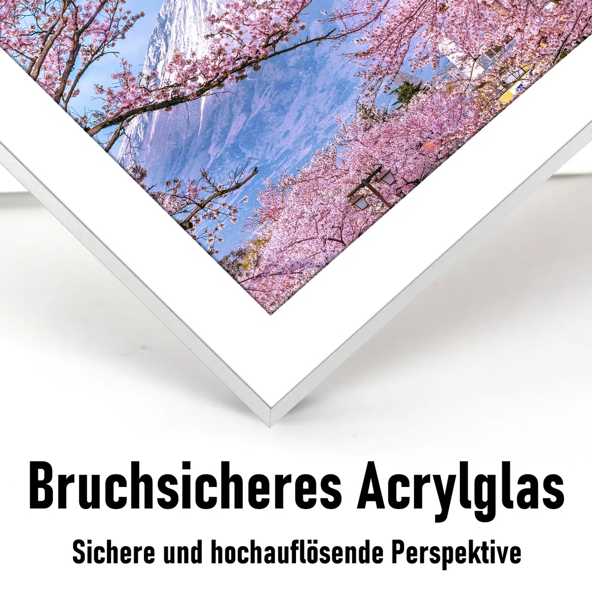 cornice alluminio 30 x 40cm cornice poster in metallo argento con vetro acrilico infrangibile moderna cornice per foto Cornice con passepartout per le immagini Poster Foto argento