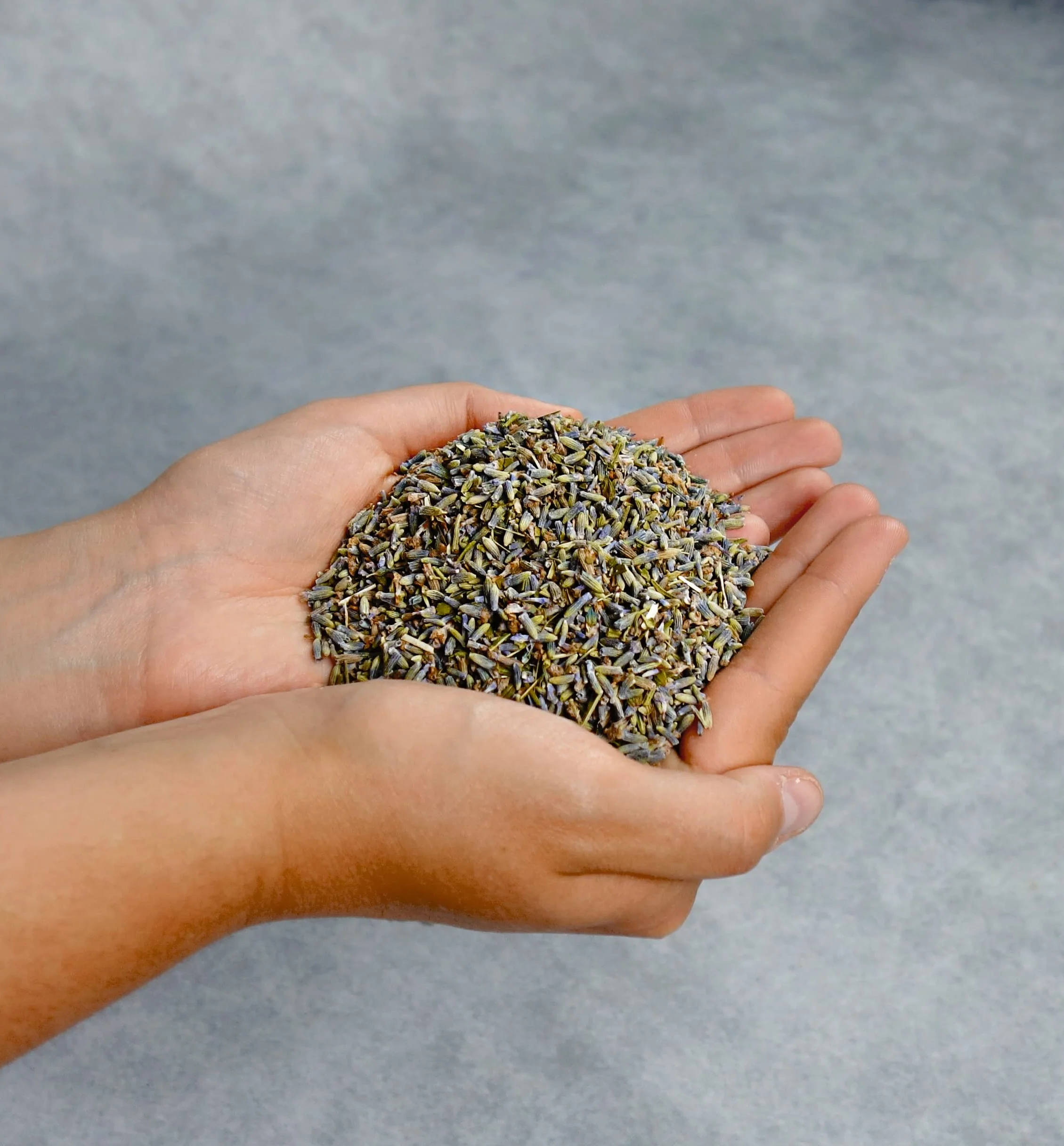 Lavanda secca 800 GR Bulk per matrimonio, bustine, deodorante, olio essenziale, saponi, cosmetici, candele
