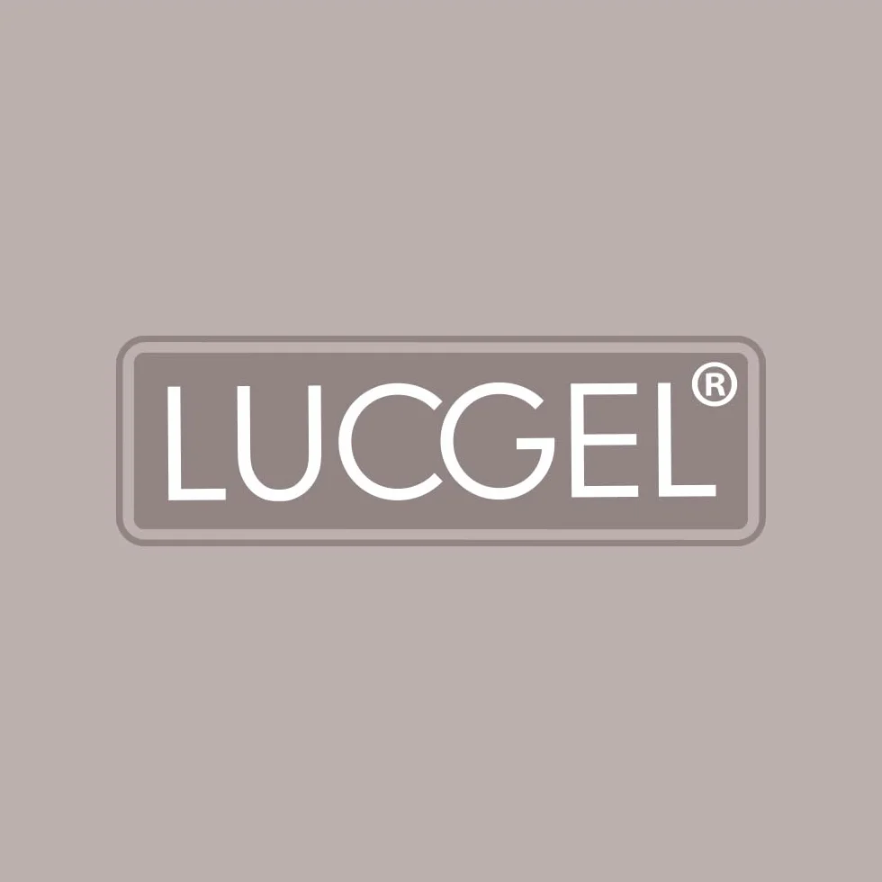 Lucgel Lavaporzionatore Acciaio Inox per Gelaterie 27x11 H12 Cm
