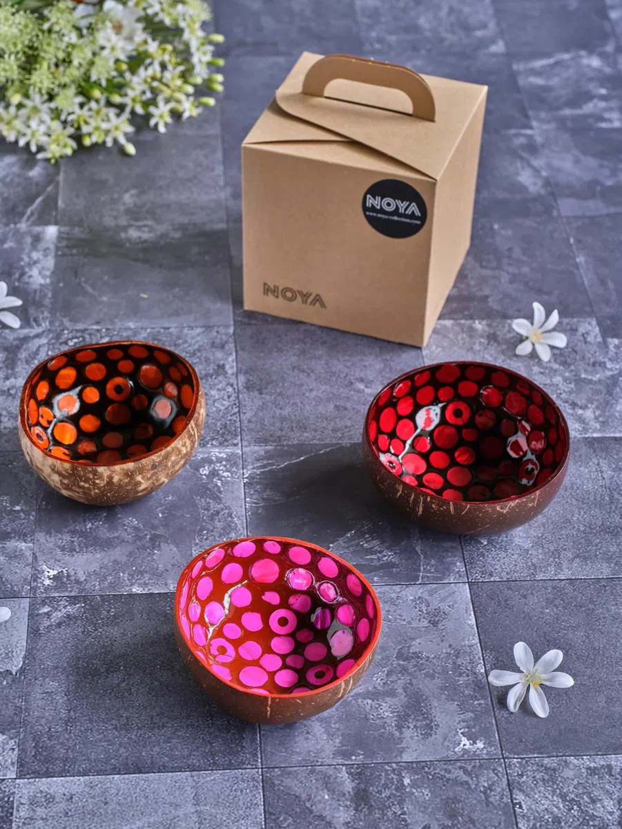 Noya Set di 3 ciotole in cocco di colori assortiti, D14 cm