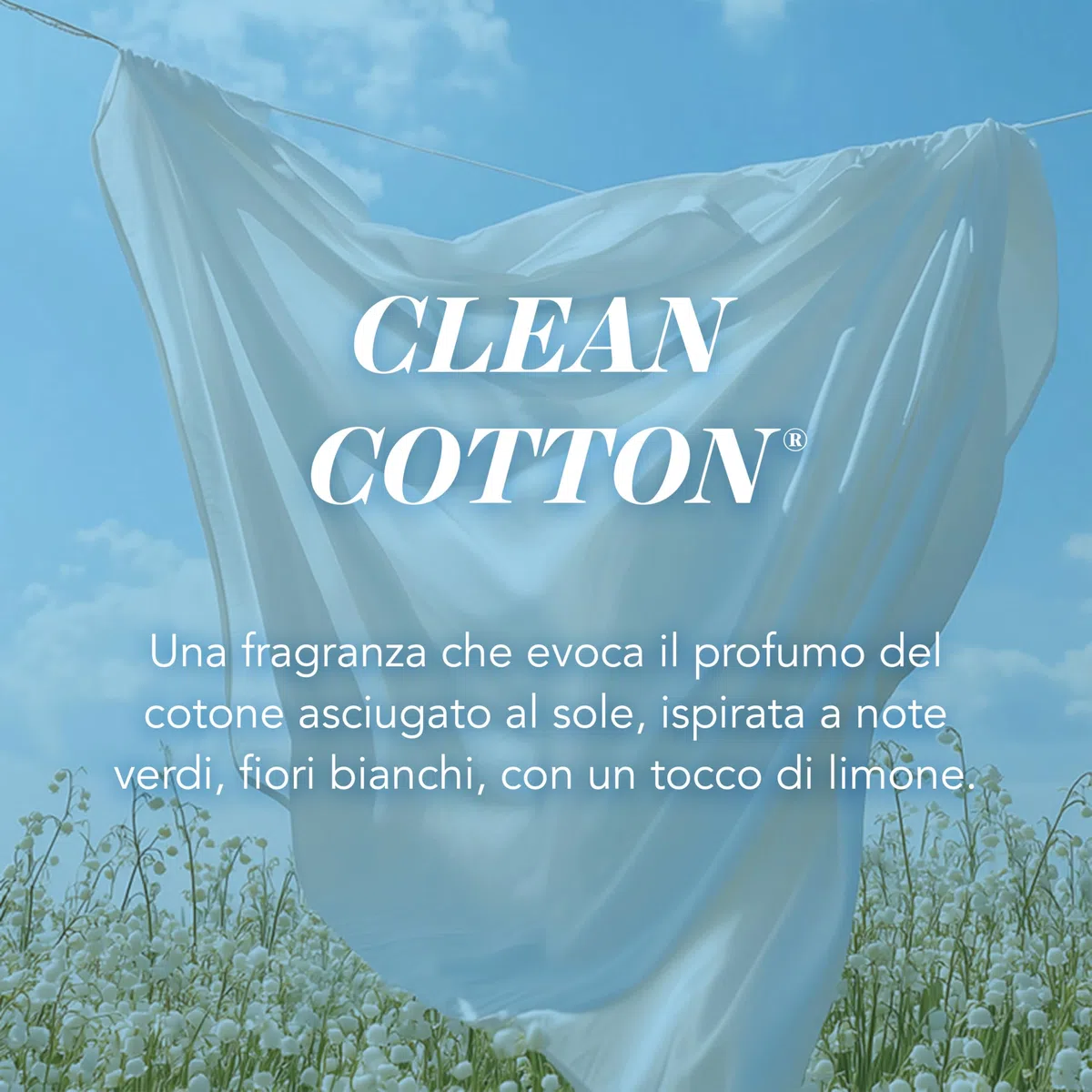 Yankee Candle Candela profumata in giara grande | Clean Cotton | Durata Fino a 150 Ore | Regali per donne