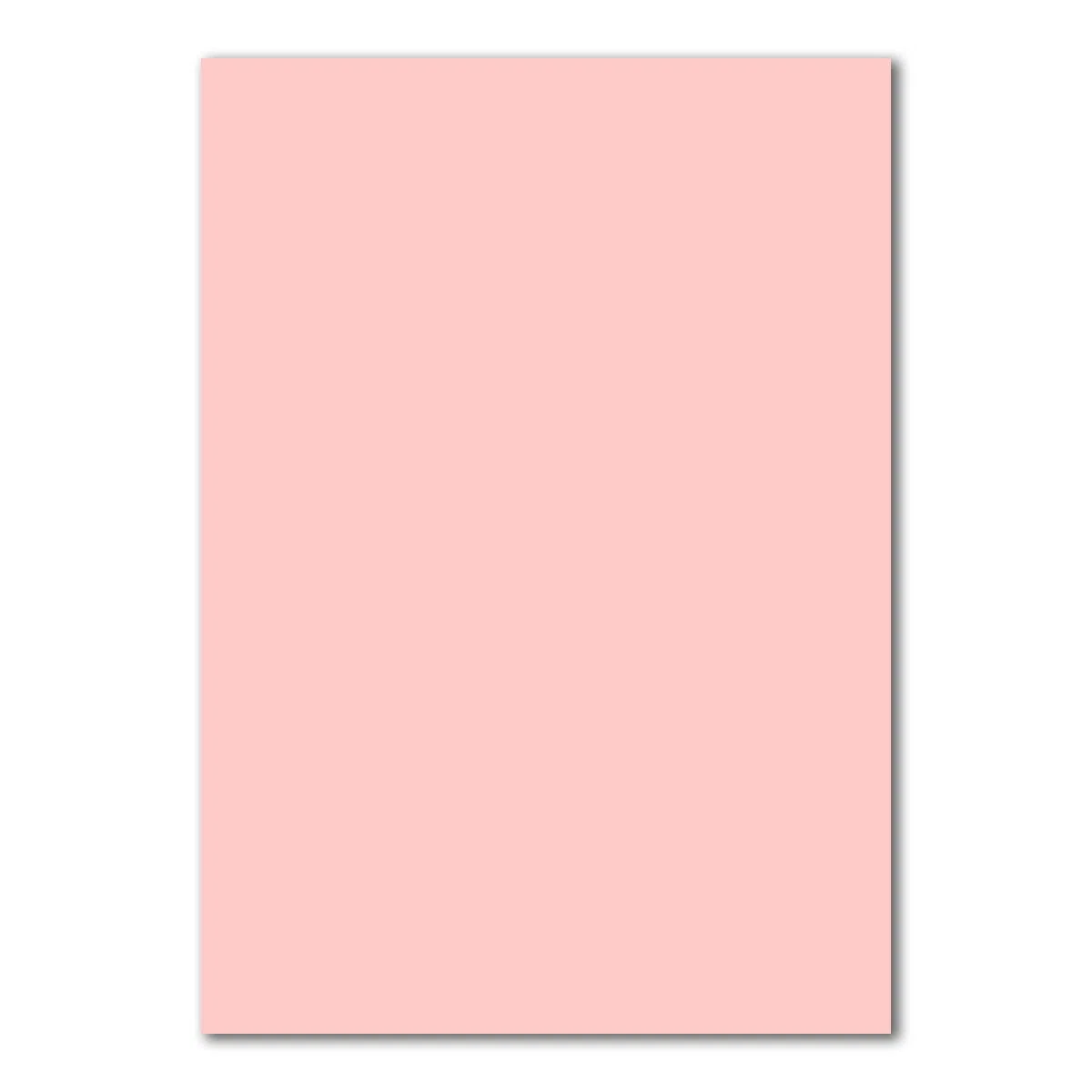 100 Fogli di carta DIN A4 foglio plano - rosa - 160 g/m² - 21 x 29,7 cm - foglio per bricolage carta creta cartone fotografico carta per bricolage cartone creta - FarbenFroh