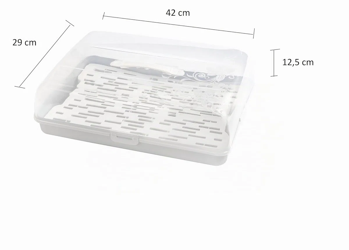 BranQ Home essential Contenitore rettangolare per torta con 2 inserti refrigeranti in plastica (PP) con copertura alta, pratica maniglia, senza BPA, trasparente/crema