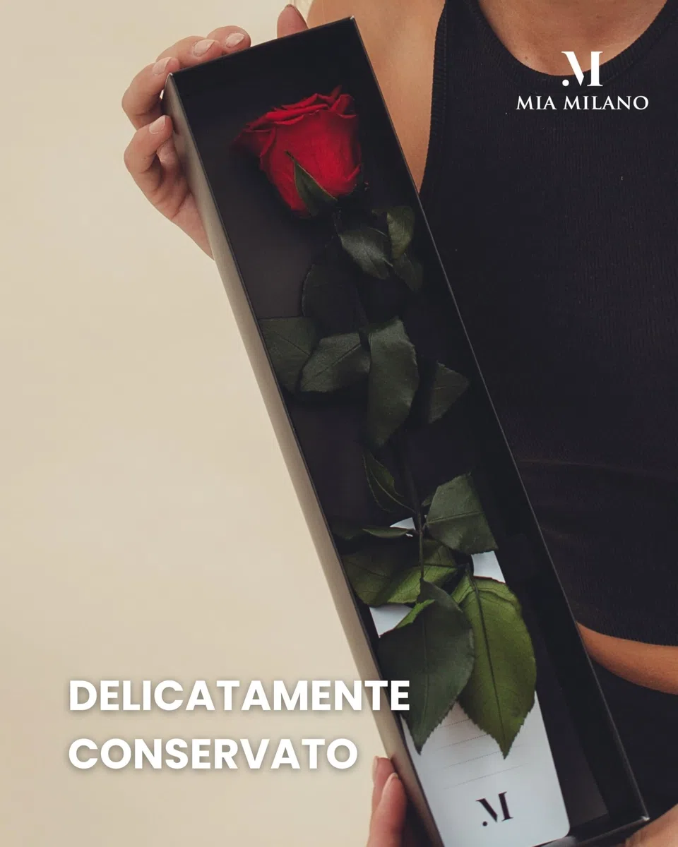 Mia Milano Rosa rossa con gambo lungo (durata 5 anni) in scatola regalo | Regalo decorativo per lei | Fiore conservato con profumo di rosa | Inclusa cartolina regalo