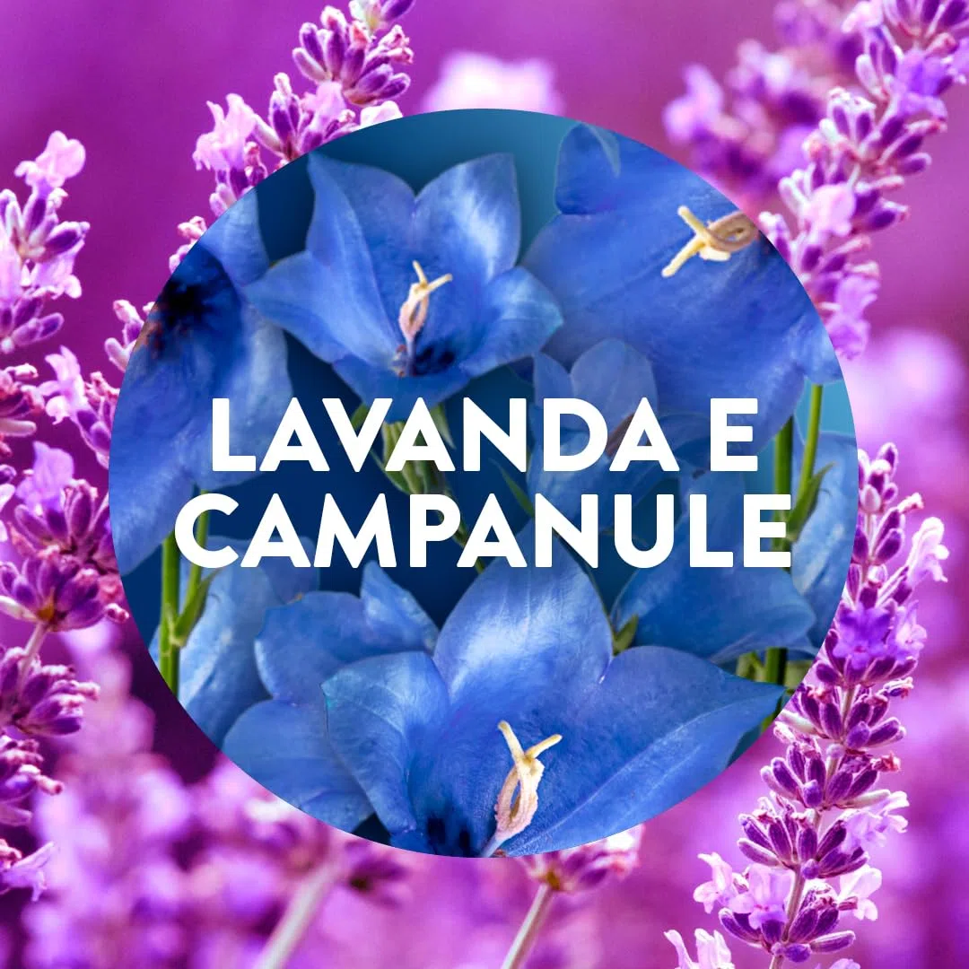 Air Wick Diffusore Elettrico di Oli Essenziali, 6 Ricariche per Diffusore alla Fragranza Lavanda e Campanule, Profumatore per Ambienti Elettrico con Oli Essenziali