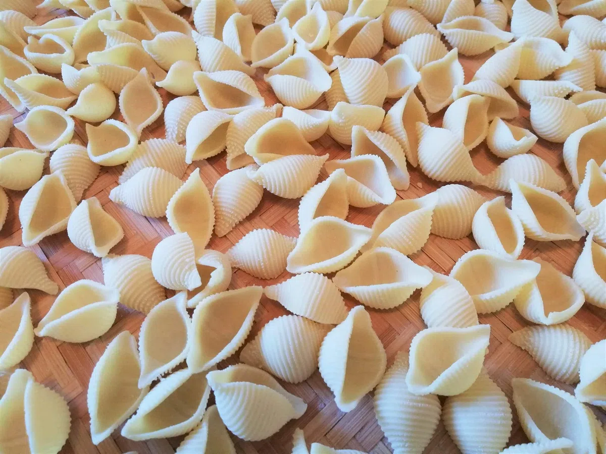 BNN - Avance/Serie 7000 - Conchigli Rigate 38mm ASCONR38 - Pasta Disc compatibile con Philips Pasta Maker Avance/Serie 7000