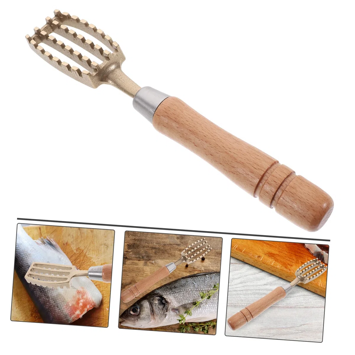 Hohopeti Desquamatore di pesce giapponese portatile con manico antiscivolo e denti seghettati in ottone per cucina e professionale