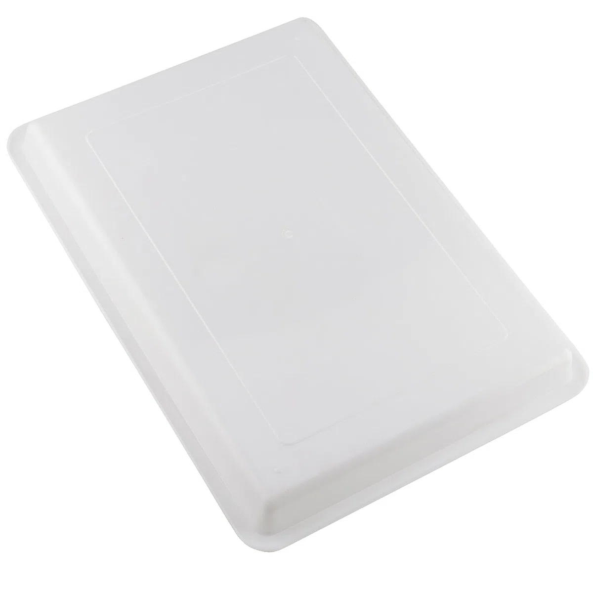 MOUYAT 10 vassoi grandi in plastica per attività artistiche, organizer per scuola, casa, progetti fai da te, pittura, perline, forniture organizzative, 39 x 29 x 4 cm