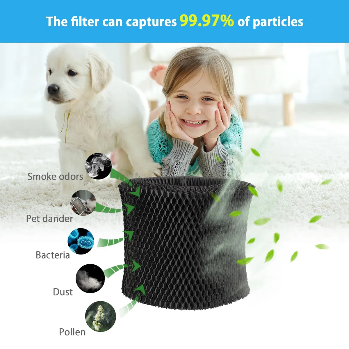 FY2401/30 Filtro umidificatore compatibile con umidificatore Philips Series 2000,HU4814, HU4813, HU4811, HU4803 & HU4801, numero di parte FY2401/30,2 pz