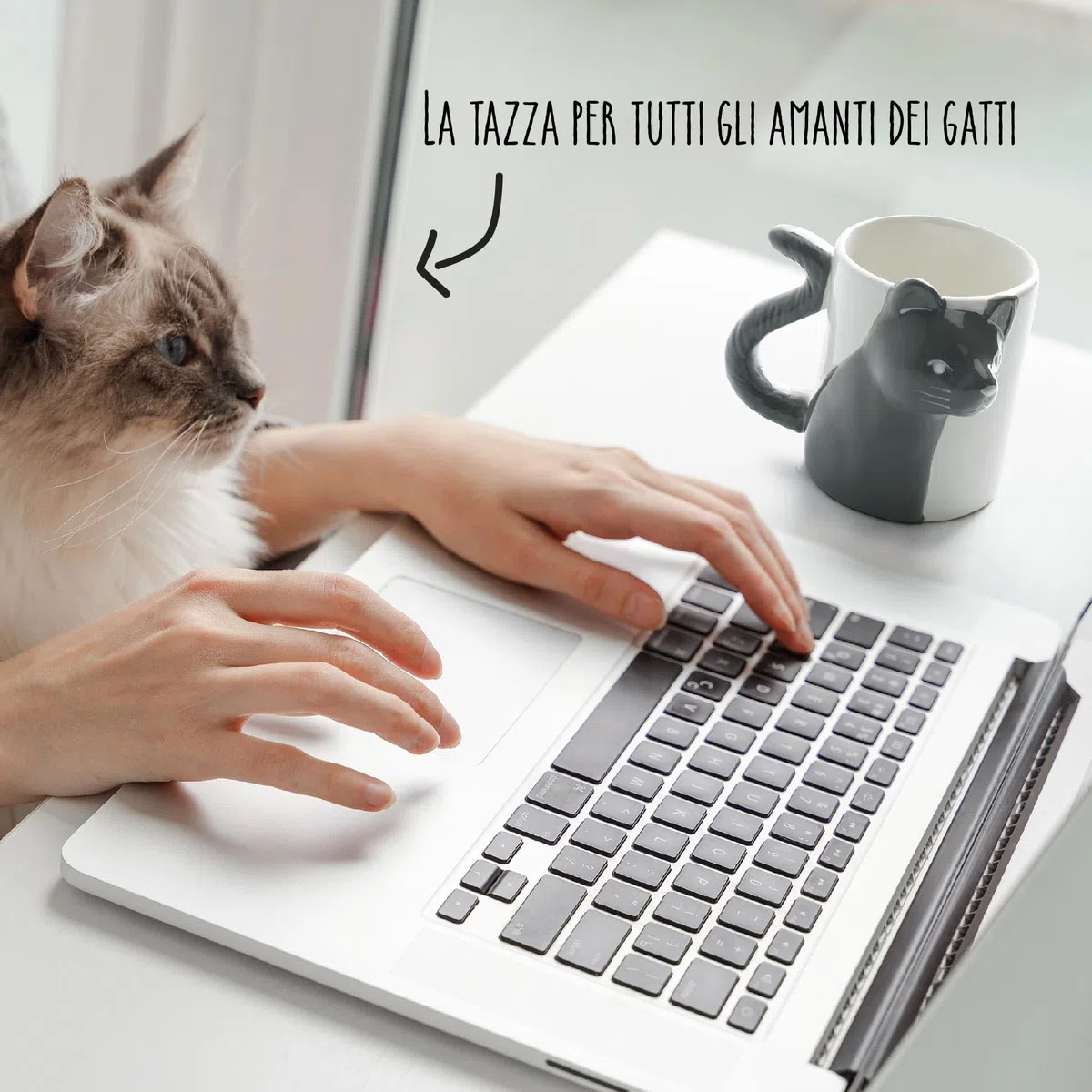 MIAMIO – 2 x 350 ml Tazza Gatto/Tazza/Tazze/Tazze Di Ceramica Set