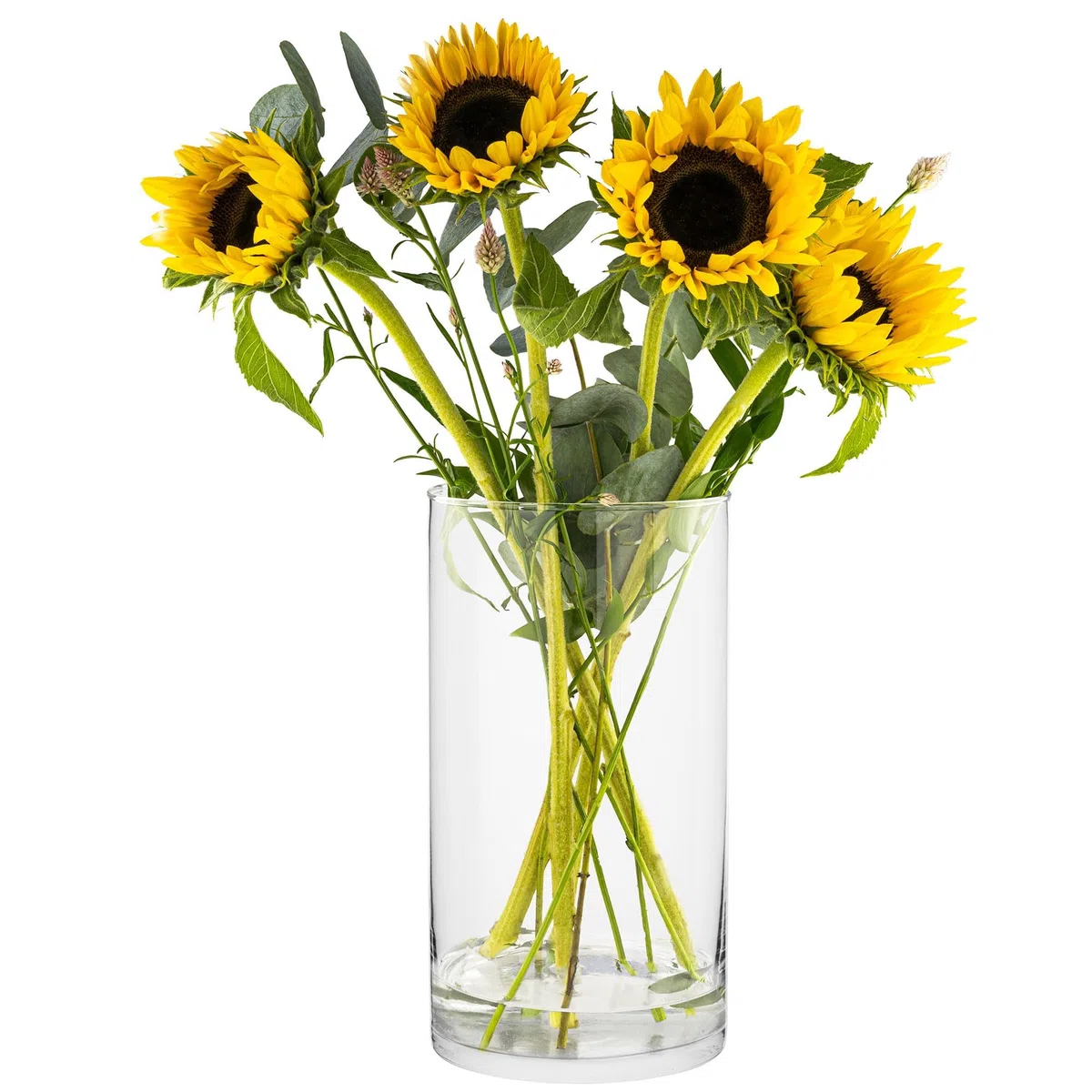 TREND FOR HOME Vaso da Terra Alto da Interno 29 cm Centrotavola Moderno Decorativo Cilindrico Allestimenti Matrimonio di Vetro Trasparente Rotondo, 4900 ml, Ø 15.8 cm, Magnolia