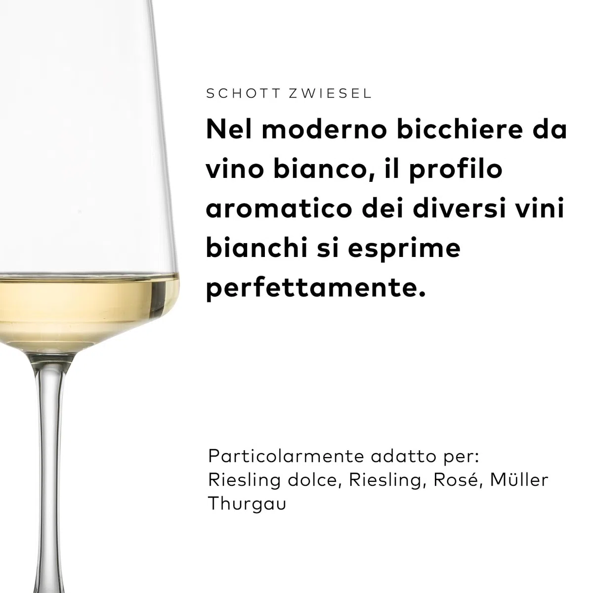 SCHOTT ZWIESEL Bicchiere da vino bianco MioVino (set di 4), moderni bicchieri da vino per vino bianco, bicchieri in cristallo Tritan lavabili in lavastoviglie, Made in Germany (art. 124050)