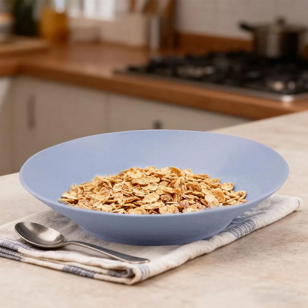 Set di 5 Piatti Colorati Plastica Riutilizzabile Piatti da Pasta Servizio 22,5x4 cm Set di Piatti per Insalata, Pasta, Bistecche