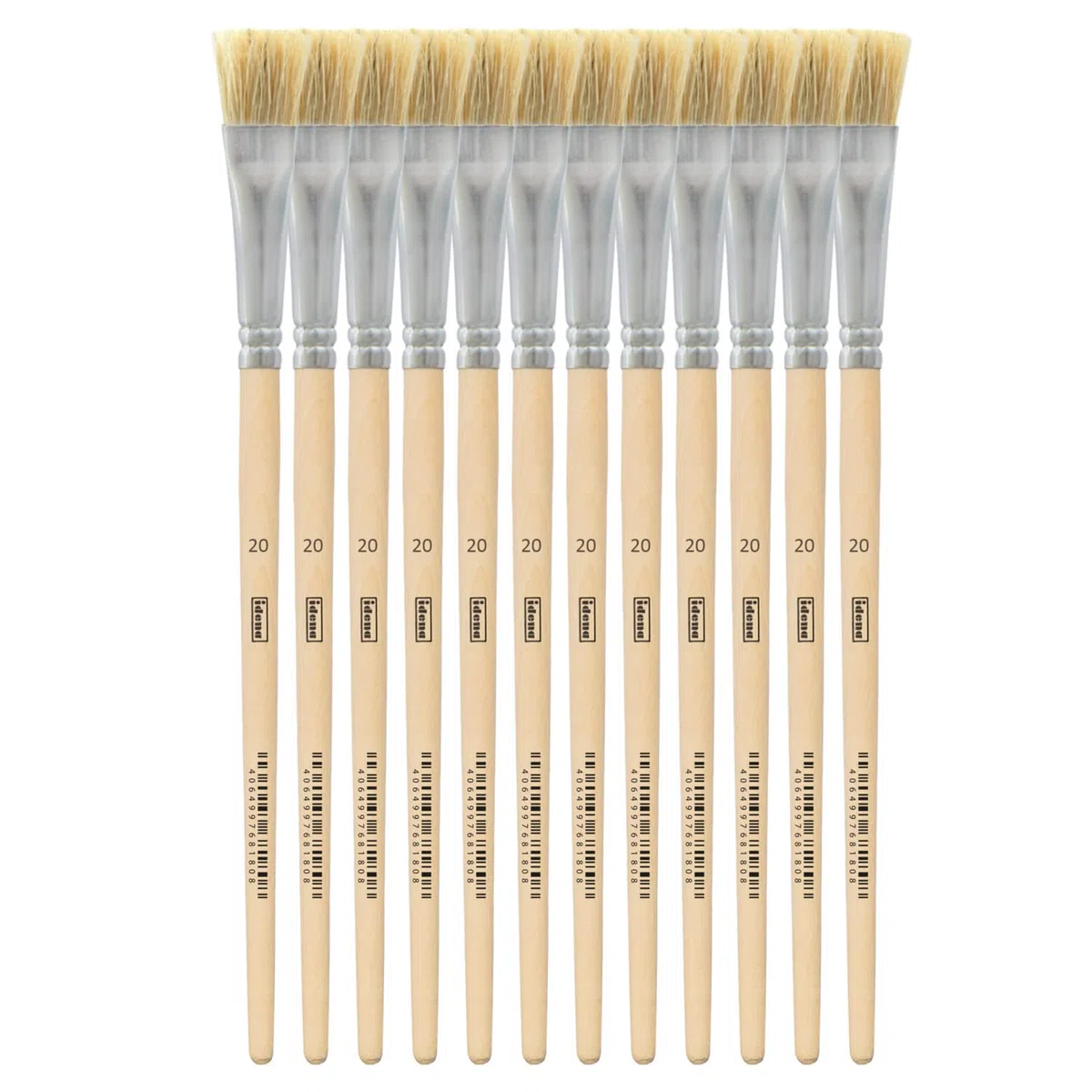 Idena 90102 - Pennelli in setola, misura 20, con manico in legno non verniciato, set di 12, pennelli per bambini e artisti per hobby