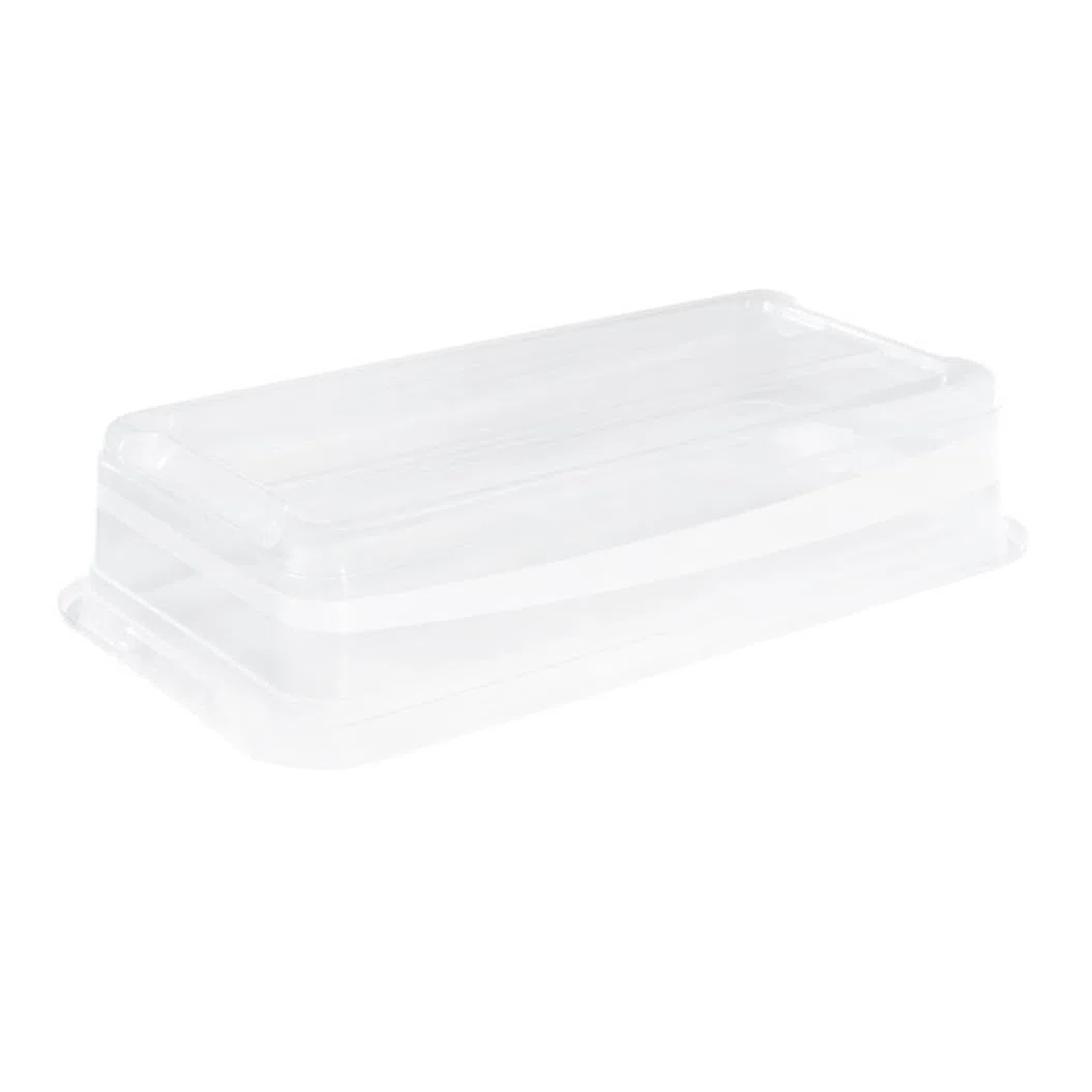 keeeper Contenitore con Coperchio, PP, 79.5 x 39.5 x 17 cm, Capacità: 33 L, Cornelia, Trasparente