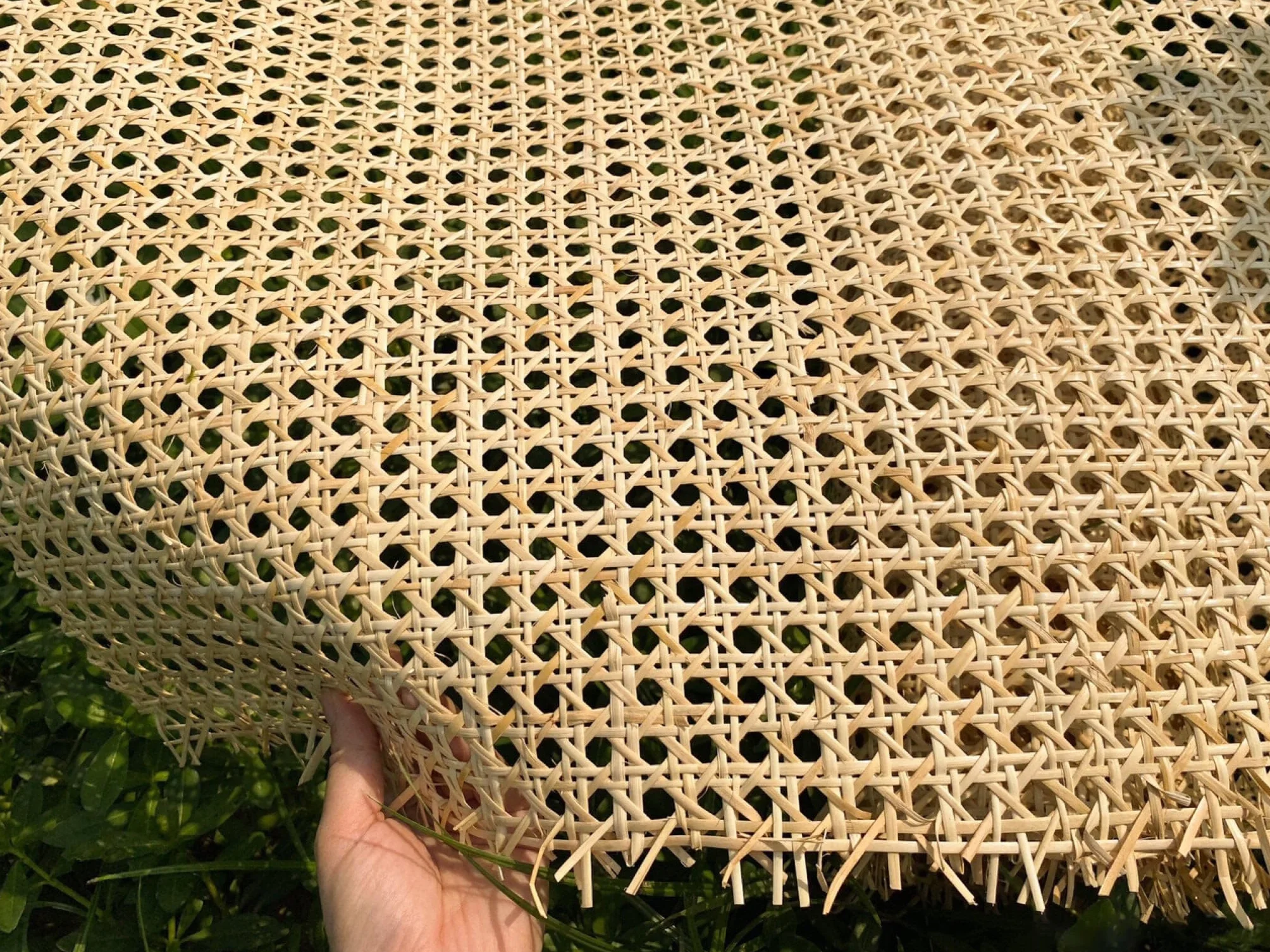 50cm di larghezza, Rattan Naturale Rotolo, Paglia di vienna al metro, Rattan Rotolo Naturale, 50 x 100cm Stuoie intrecciate Rotolo, Paglia di vienna Rotolo Paglia per Sedie, Mobili Cesti, Borse, DIY