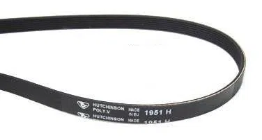 Hutchinson - Cinghia per asciugatrice 1951 H (461971008302)