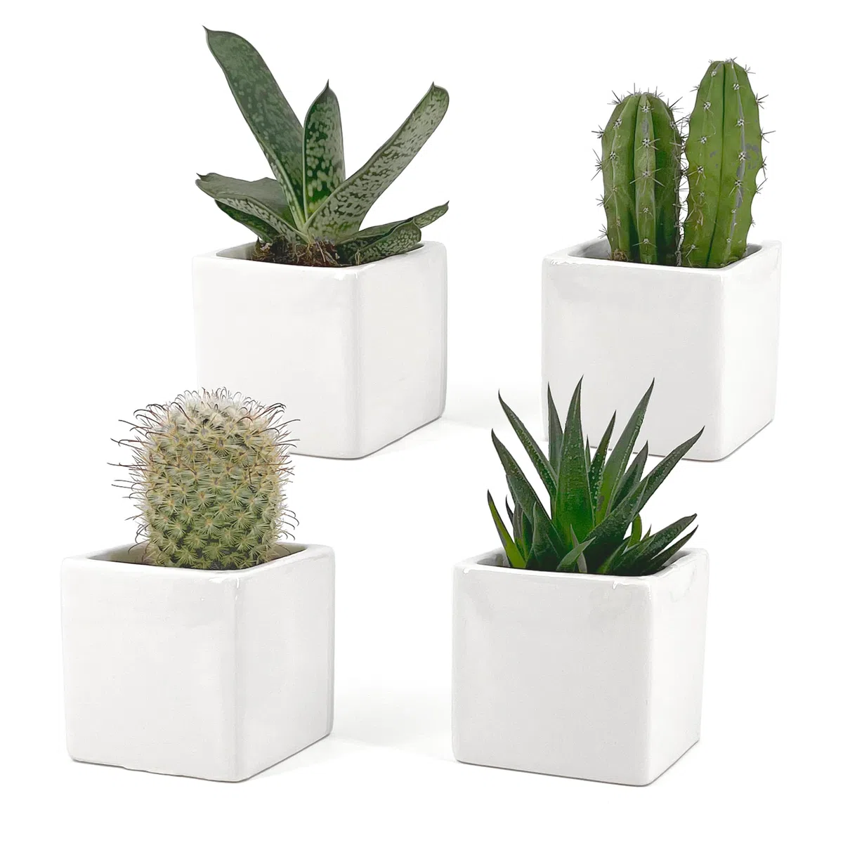 Set di 4 Vasi Bianchi, da Interno in Ceramica Bianca Lucida | Misura 6,5x6,5 cm | Ideali per Piante Grasse, Bonsai, Fiori, Vasetti Decorativi da Interno Moderni per Casa, Scrivania, Tavolo, Ufficio.