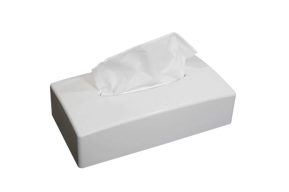 Scatola dispenser porta fazzoletti, MADE IN ITALY, in ABS riciclabile, 246x131x62mm, ideale per bagno, salotto, hotel e casa, completo di viti e biadesivo per fissaggio a parete (rettangolare bianca)