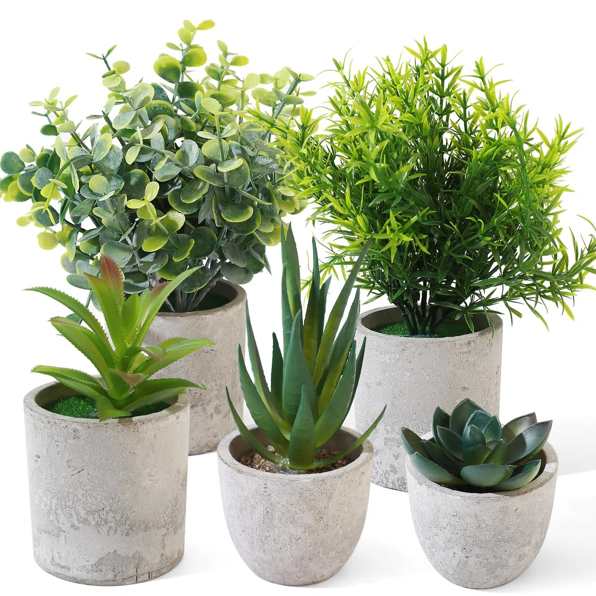 5 Pezzi Piante Finte da Interno, Pianta Finta da Interno, Piccole Piante Artificiali in Vaso, Pianta Finte Serpentine Succulente per Interni, Ufficio, Scrivania, Casa, Camera da Letto, Decorazione