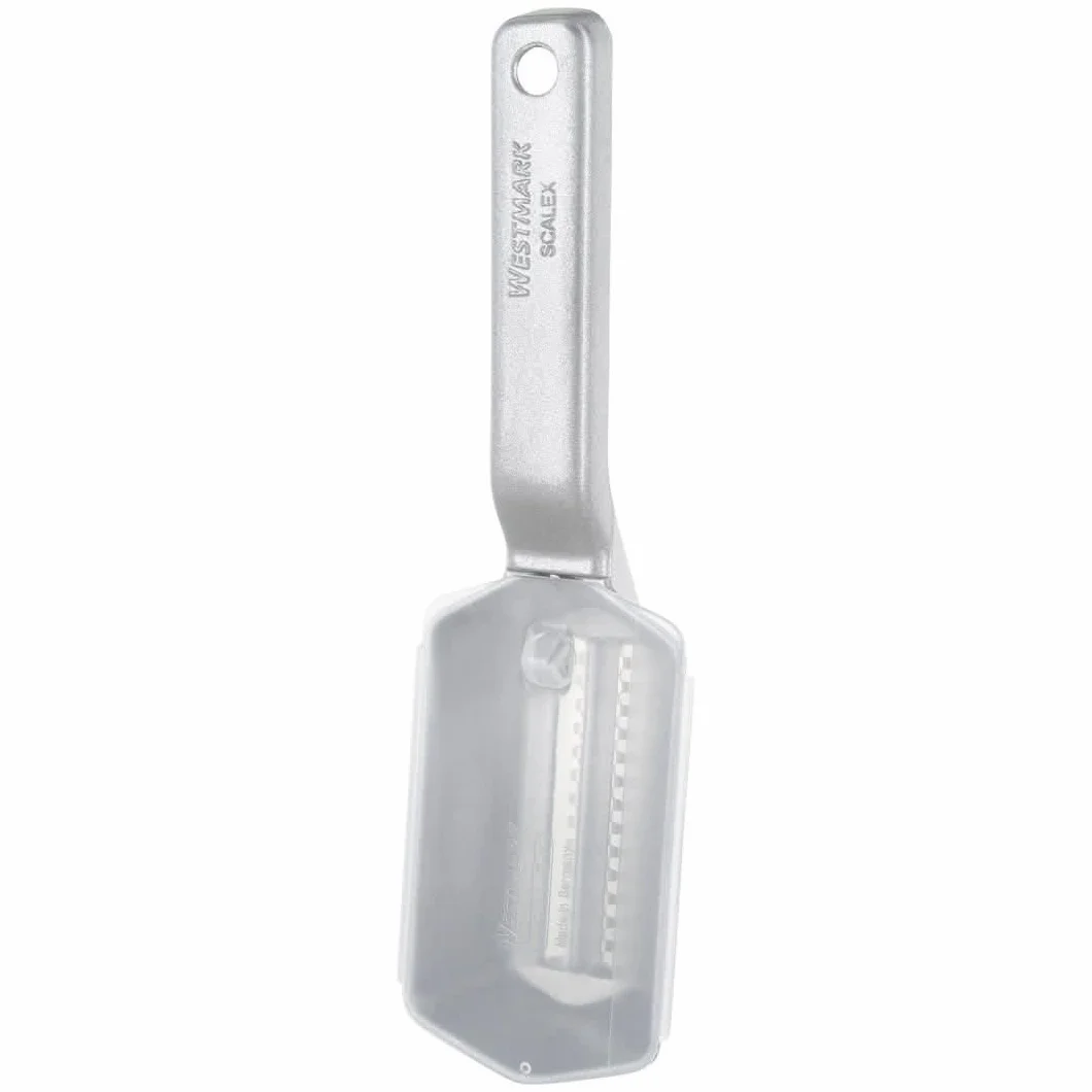 Westmark Desquamatore con vaschetta do raccolta, Alluminio, Rivestimento alimentare, Acciaio inox, 21 x 5,9 x 5,3 cm, Scalex, Argento, 65002260