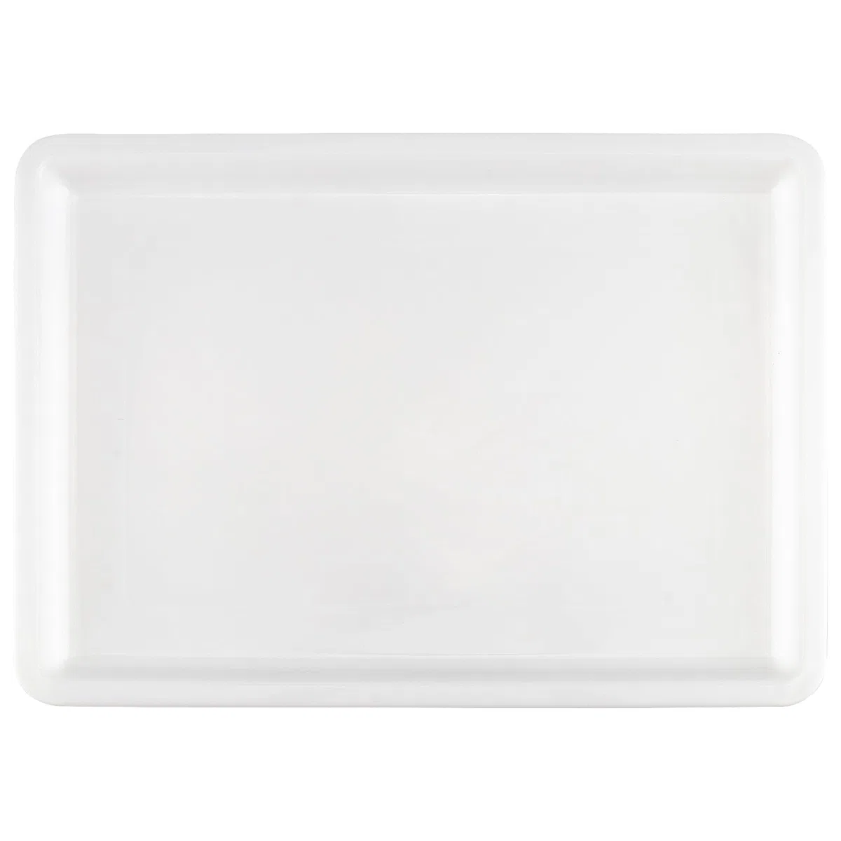 MOUYAT 10 vassoi grandi in plastica per attività artistiche, organizer per scuola, casa, progetti fai da te, pittura, perline, forniture organizzative, 39 x 29 x 4 cm
