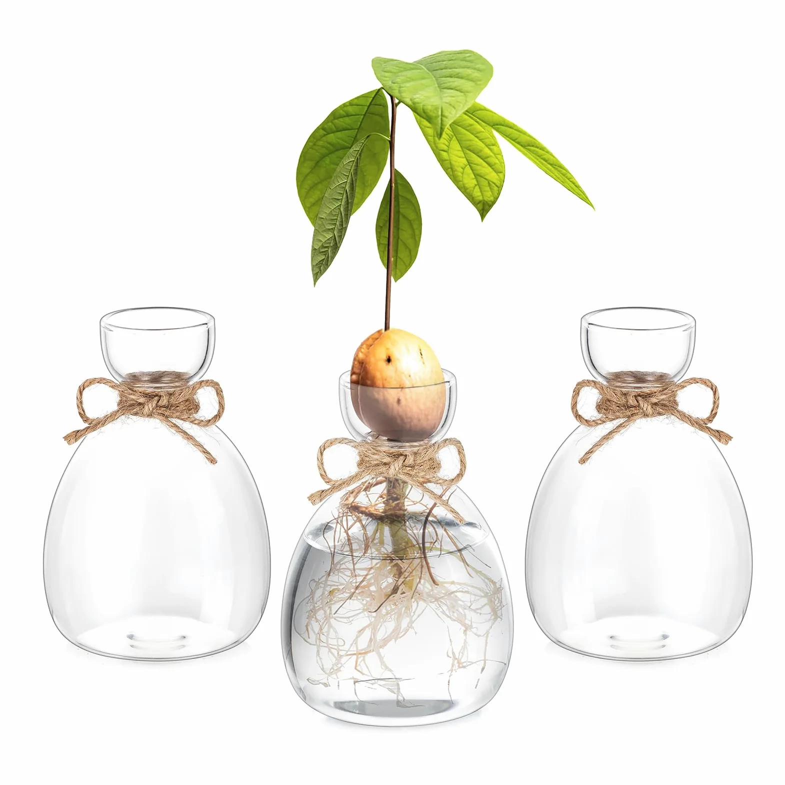 Terrario Moderni Vaso Decorativo da Interno - 3 Qvocado per Idrocoltura in Vetro - Idroponica per Piante, Vasetti Vetro per Arredamento Casa, Idee Regalo Donna
