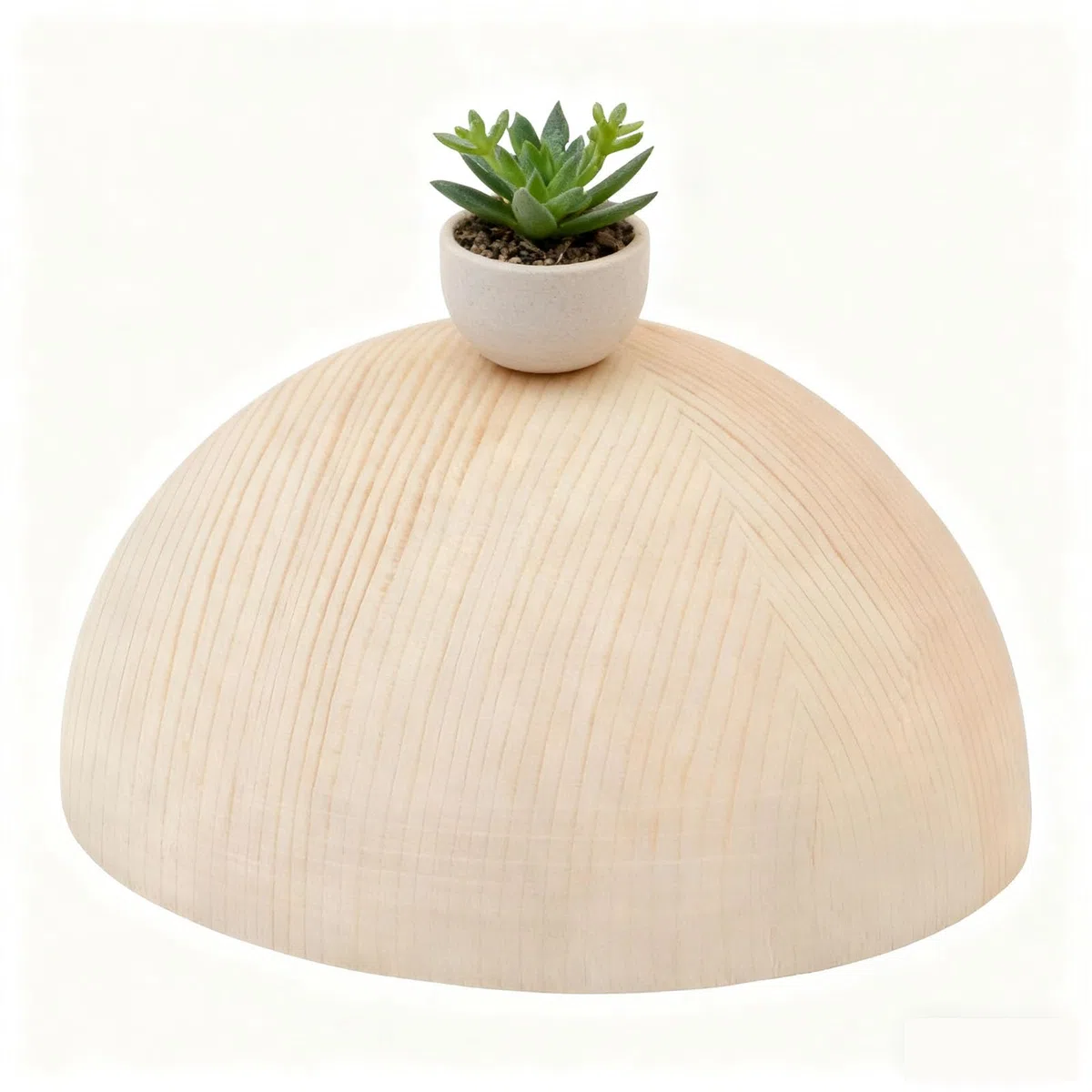 Non Finita Naturale Palle di Legno semicircolare di Pino, Mezze Sfere di Legno, Sfera in Legno Massiccio per Artigianato, per Decorazioni e Giocattoli Fai da Te(Size:18cm（1pcs）)